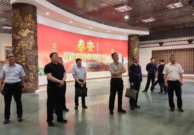 深化地理标志保护，赋能文化产业发展——省知识产权局调研岱岳区工作纪实